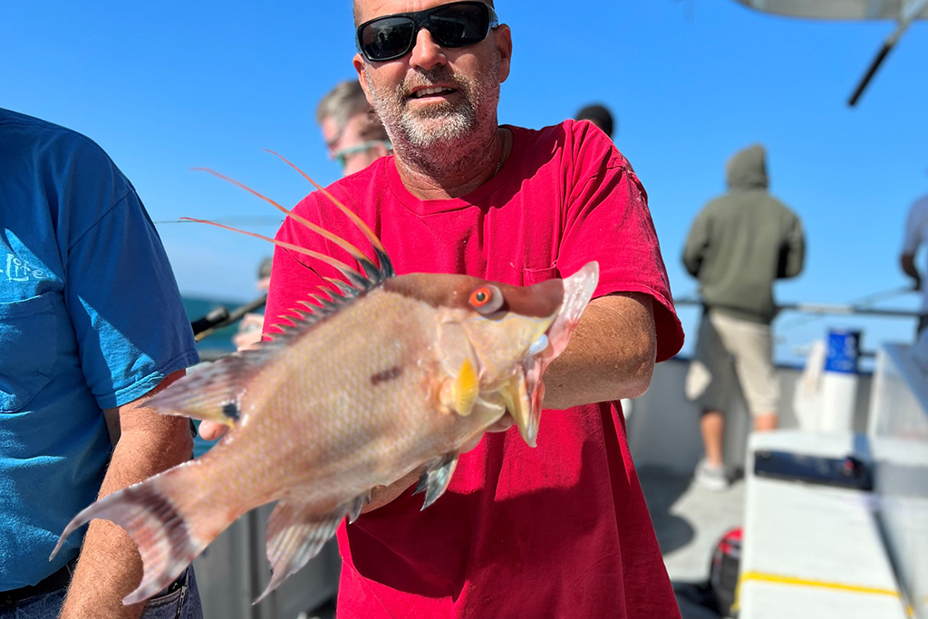 NEAR SHORE - hogfish (3)