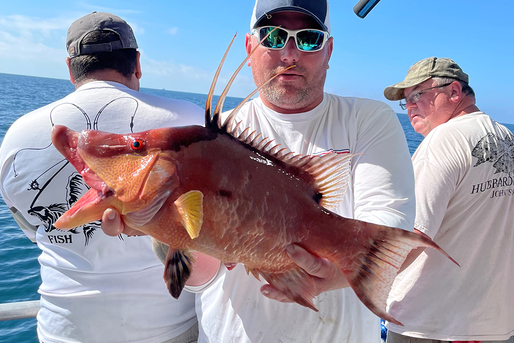 NEAR SHORE - hogfish (5)