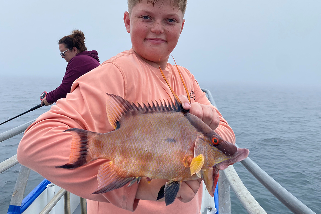 NEAR SHORE - hogfish (5)