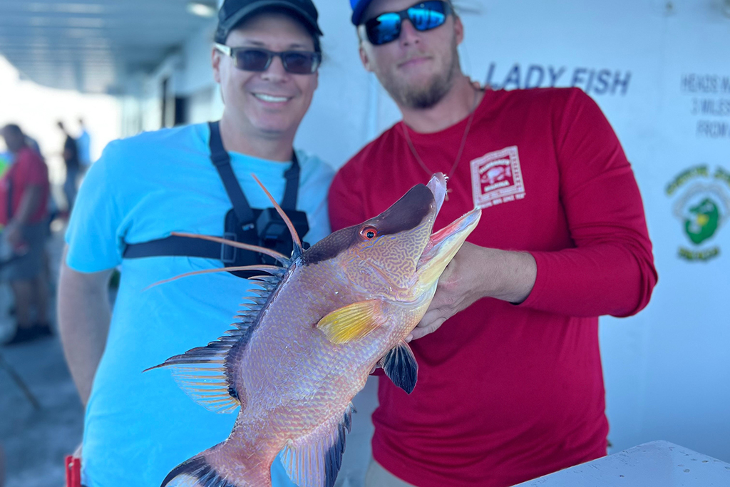 NEAR SHORE - hogfish (6)