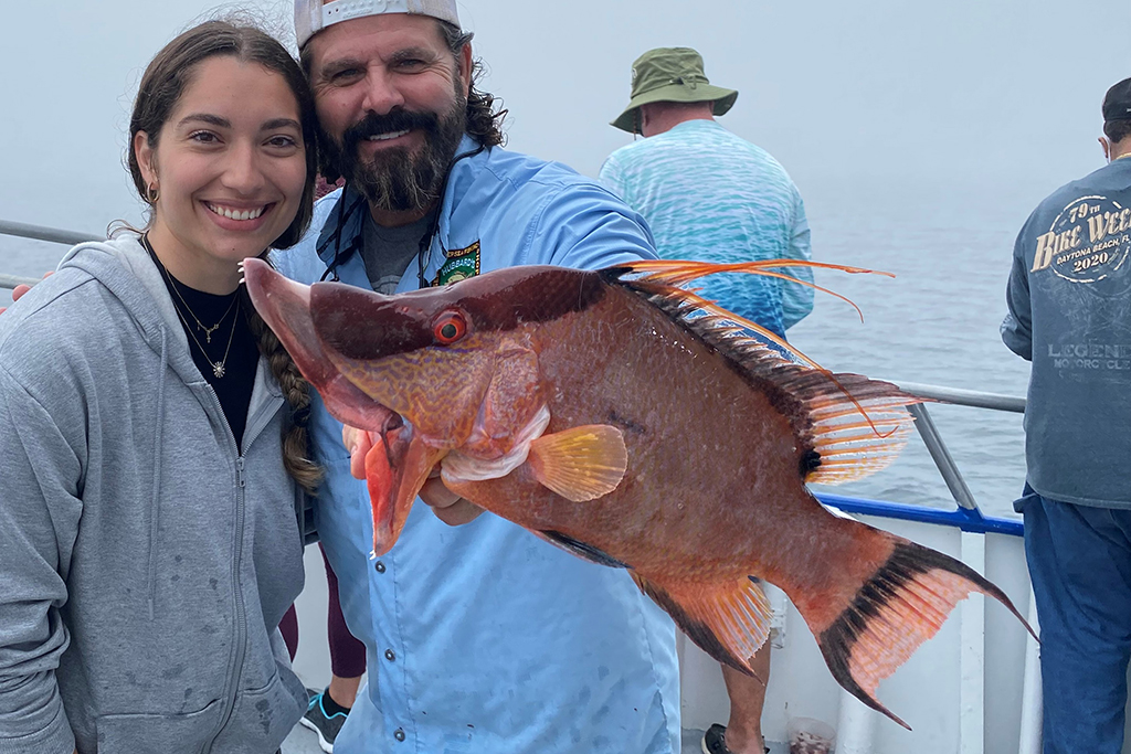 NEAR SHORE - hogfish (6)