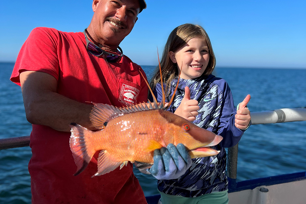 NEAR SHORE - hogfish (8)