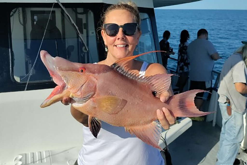 NEAR SHORE - hogfish (8)