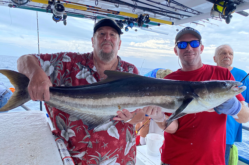 OFFSHORE - cobia