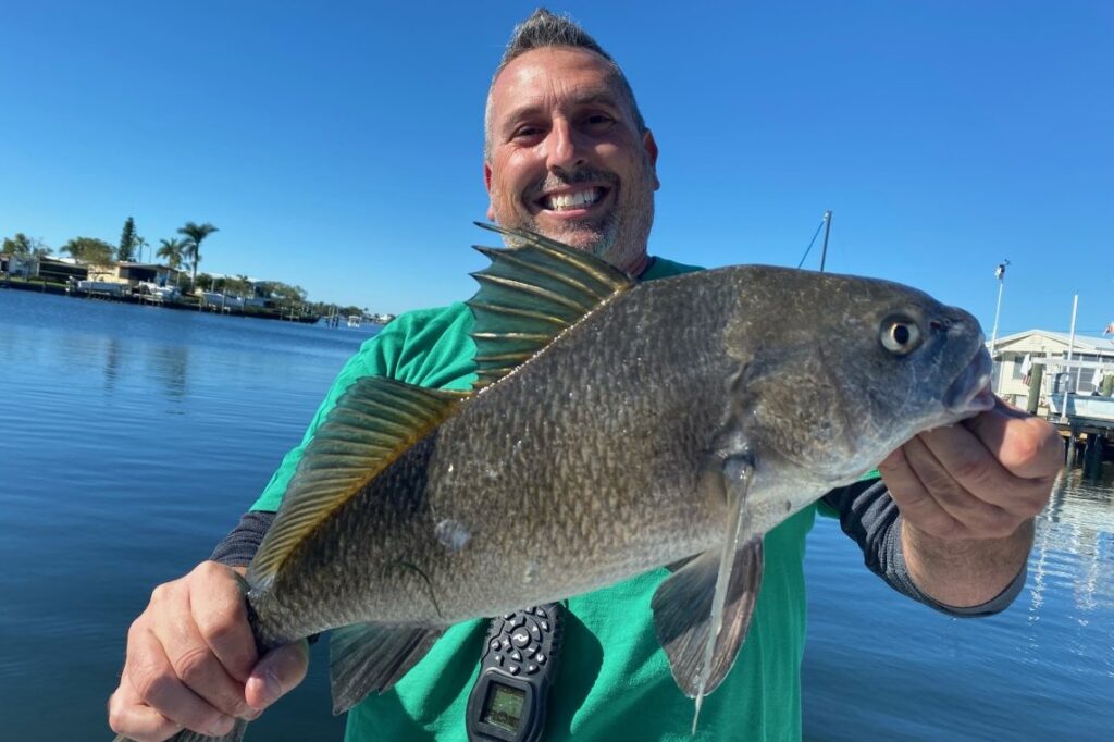 INSHORE - black drum (1)