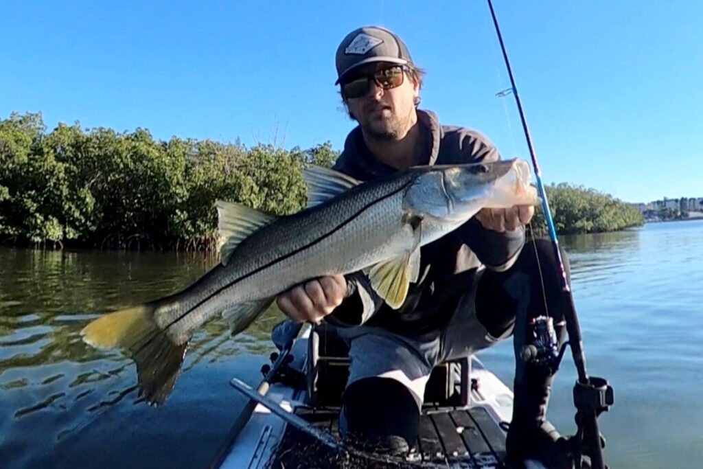 INSHORE - snook (1)