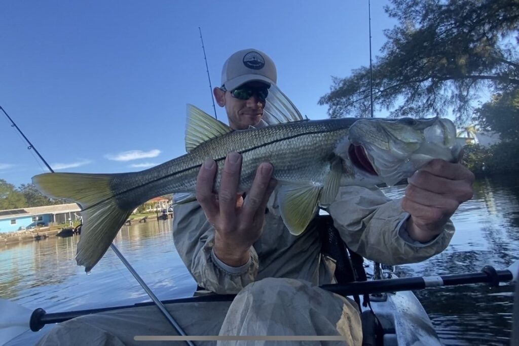 INSHORE - snook (4)