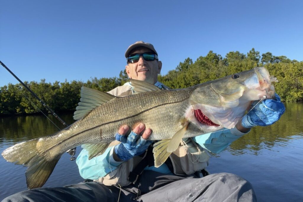 INSHORE - snook (5)