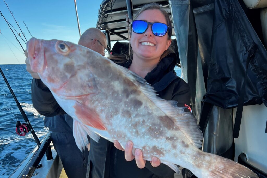 NEAR SHORE & OFFSHORE - red grouper (1)