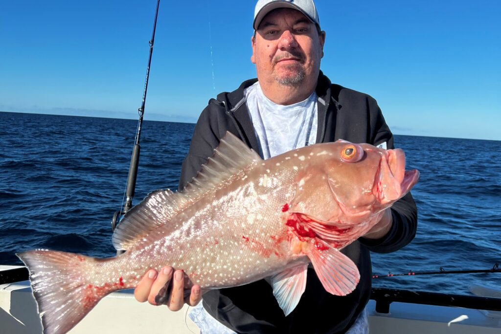 NEAR SHORE & OFFSHORE - red grouper (2)