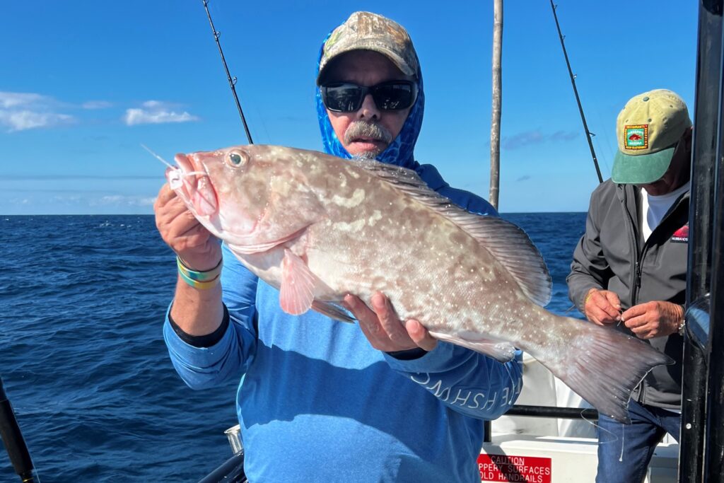 NEAR SHORE & OFFSHORE - red grouper (3)