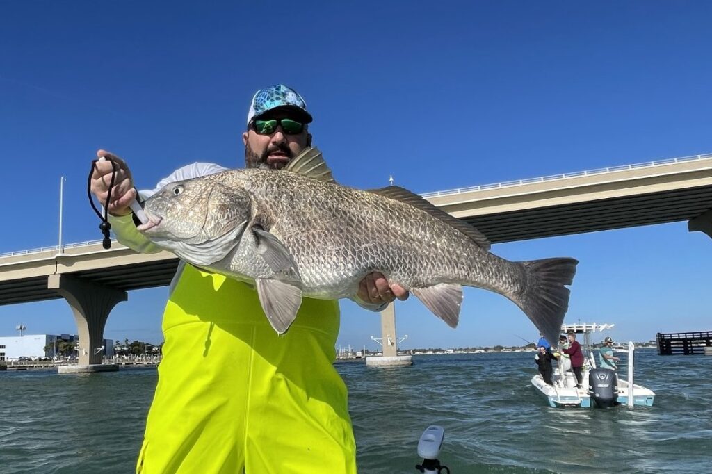 INSHORE - black drum