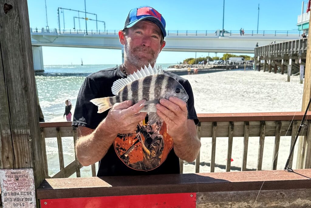 INSHORE - sheepshead (1)