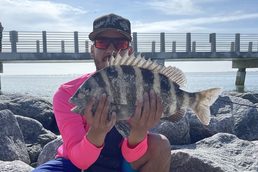 INSHORE - sheepshead 4