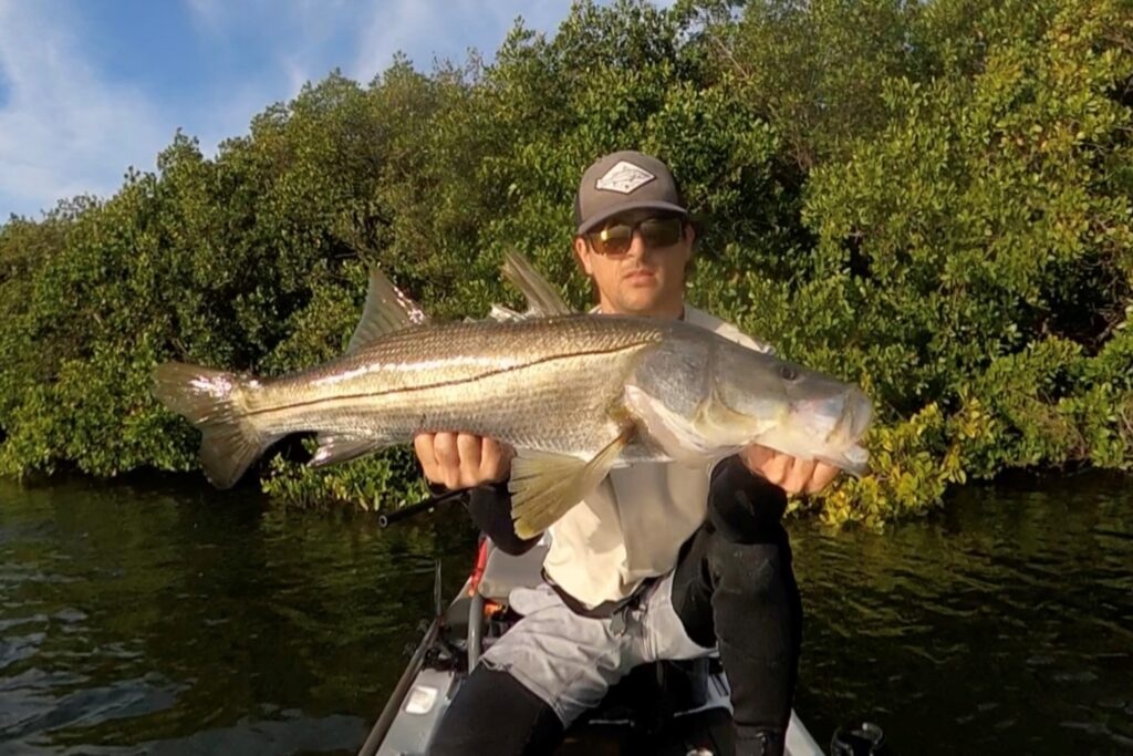 INSHORE - snook