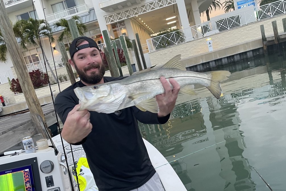 INSHORE - snook 2