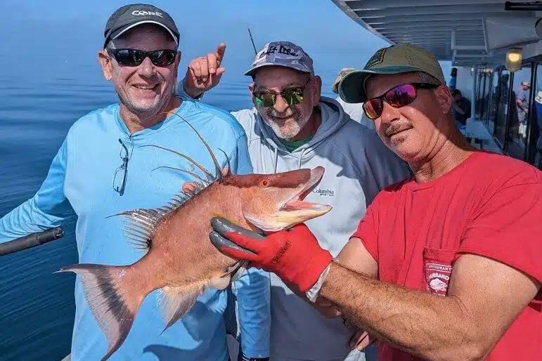 NEAR SHORE - hogfish (11)