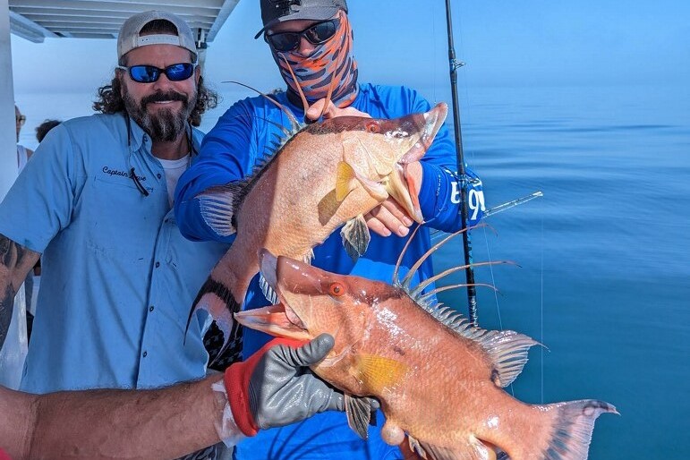 NEAR SHORE - hogfish (12)