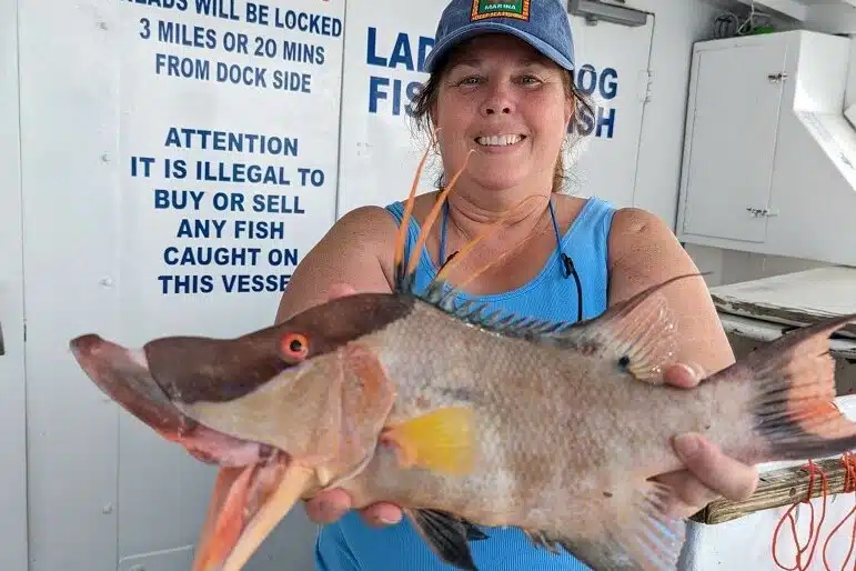 NEAR SHORE - hogfish (13)