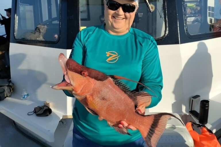 NEAR SHORE - hogfish (2)