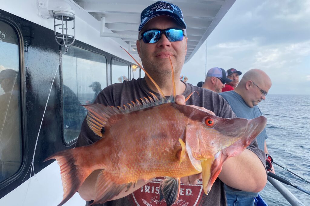 NEAR SHORE - hogfish (7)