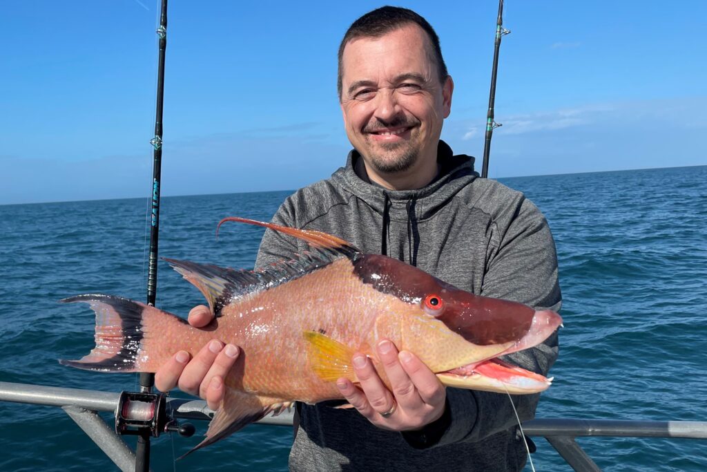 NEAR SHORE - hogfish (8)