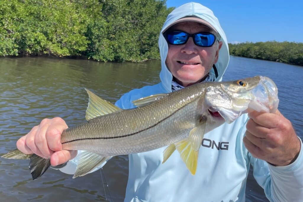 INSHORE - snook (2)