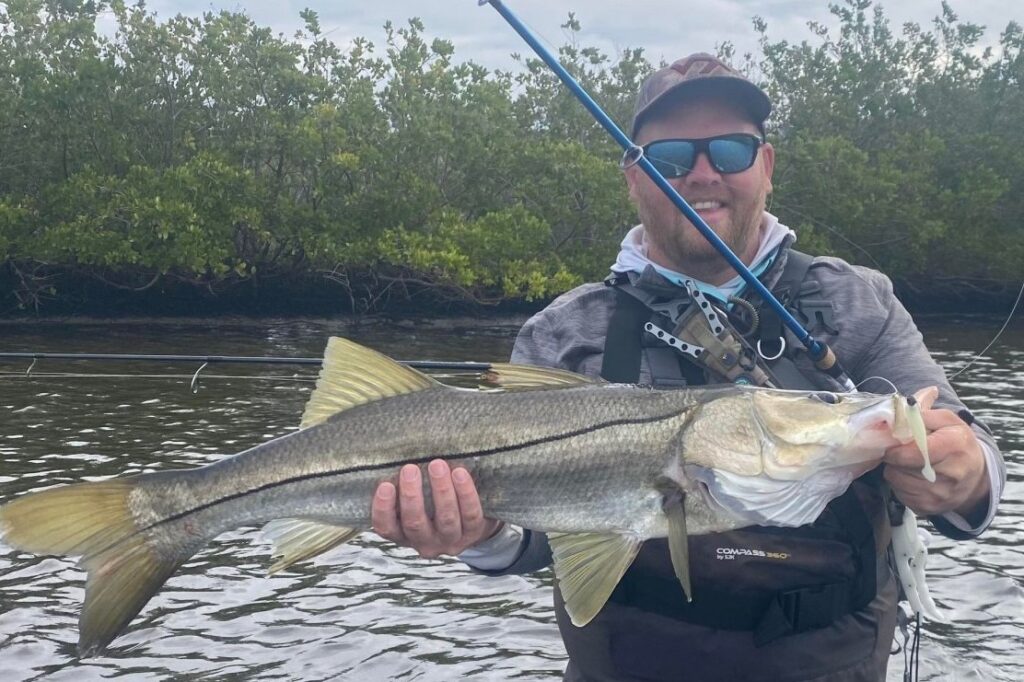 INSHORE - snook (3)