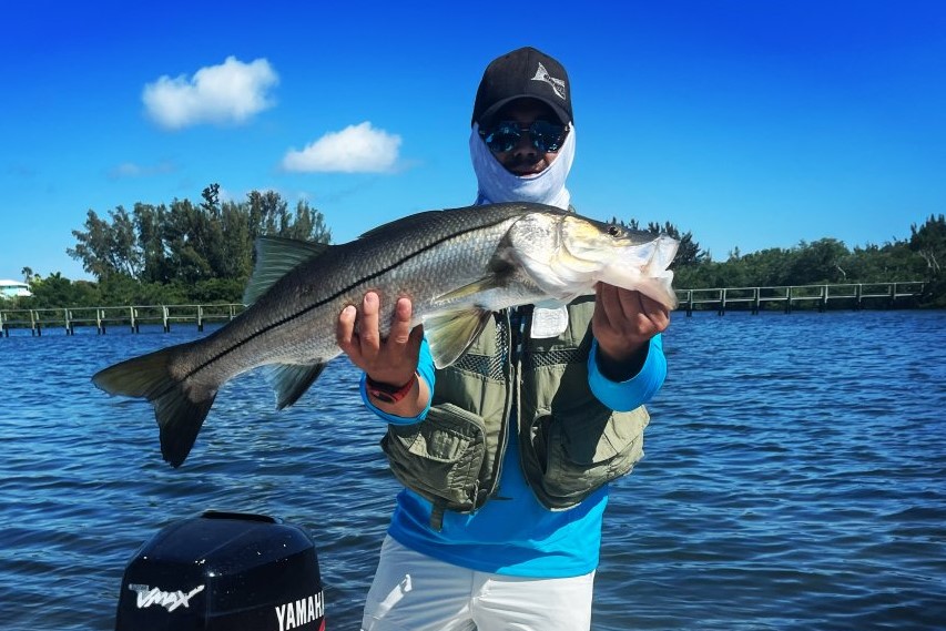 INSHORE - snook (4)