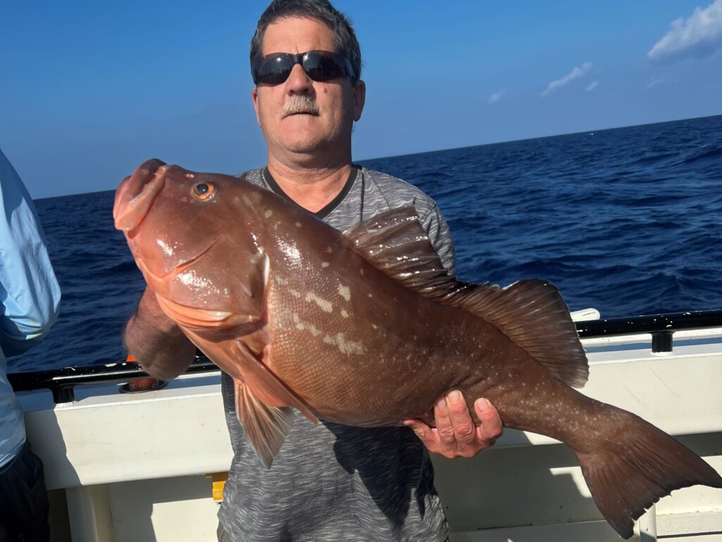 NEAR SHORE & OFFSHORE - red grouper (13)