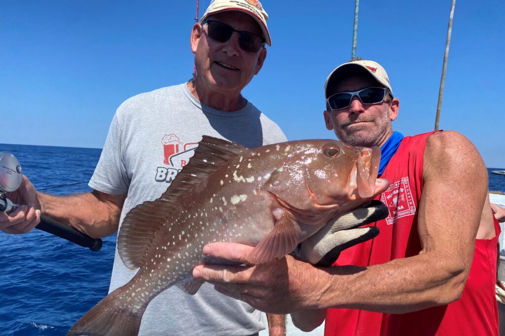 NEAR SHORE & OFFSHORE - red grouper (20)