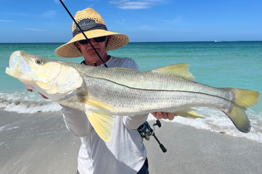 INSHORE - snook (2)