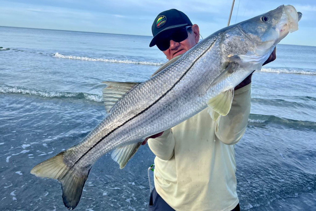 INSHORE - snook (3)