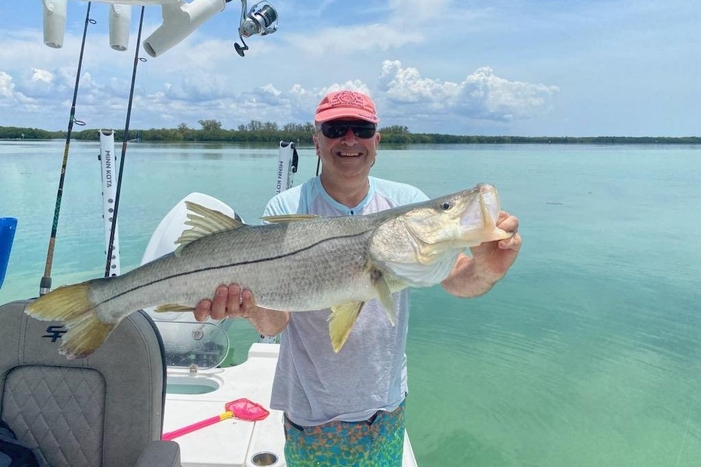 INSHORE - snook