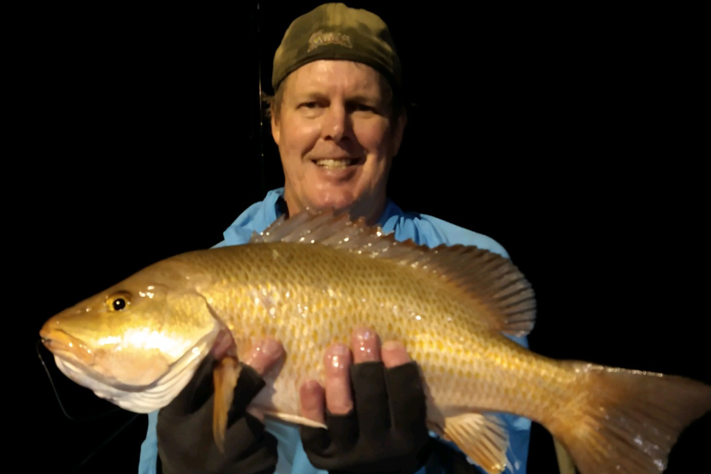 Mangrove Snapper (2)