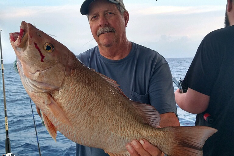 Mangrove Snapper (4)