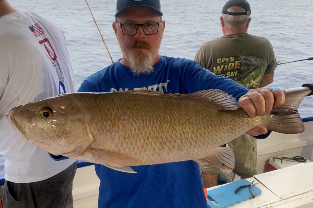 NEAR SHORE & OFFSHORE - mangrove snapper (1)