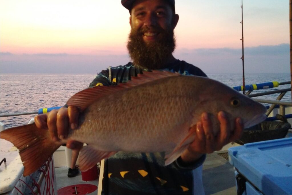 NEAR SHORE & OFFSHORE - mangrove snapper (3)