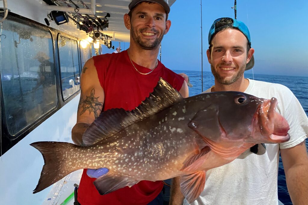 NEAR SHORE & OFFSHORE - red grouper (15)