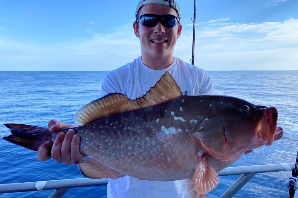 NEAR SHORE & OFFSHORE - red grouper (16)