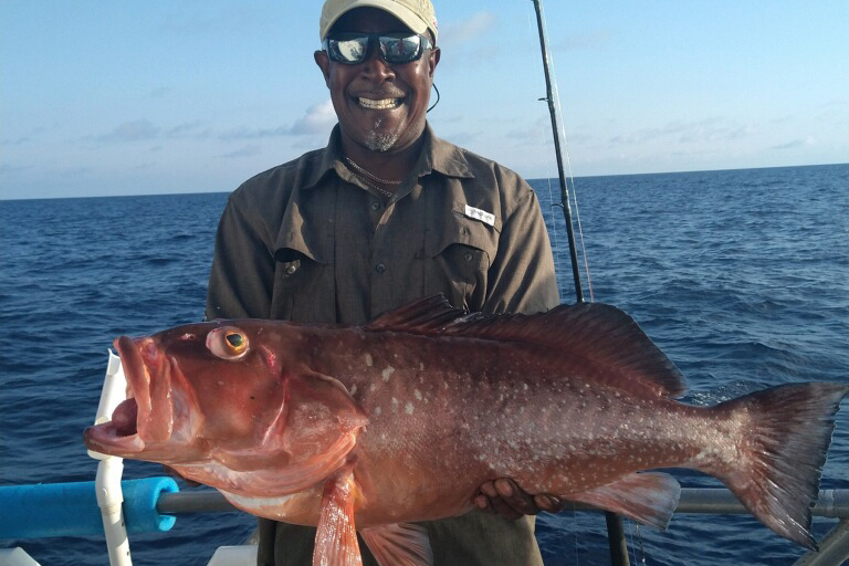 NEAR SHORE & OFFSHORE - red grouper (2)