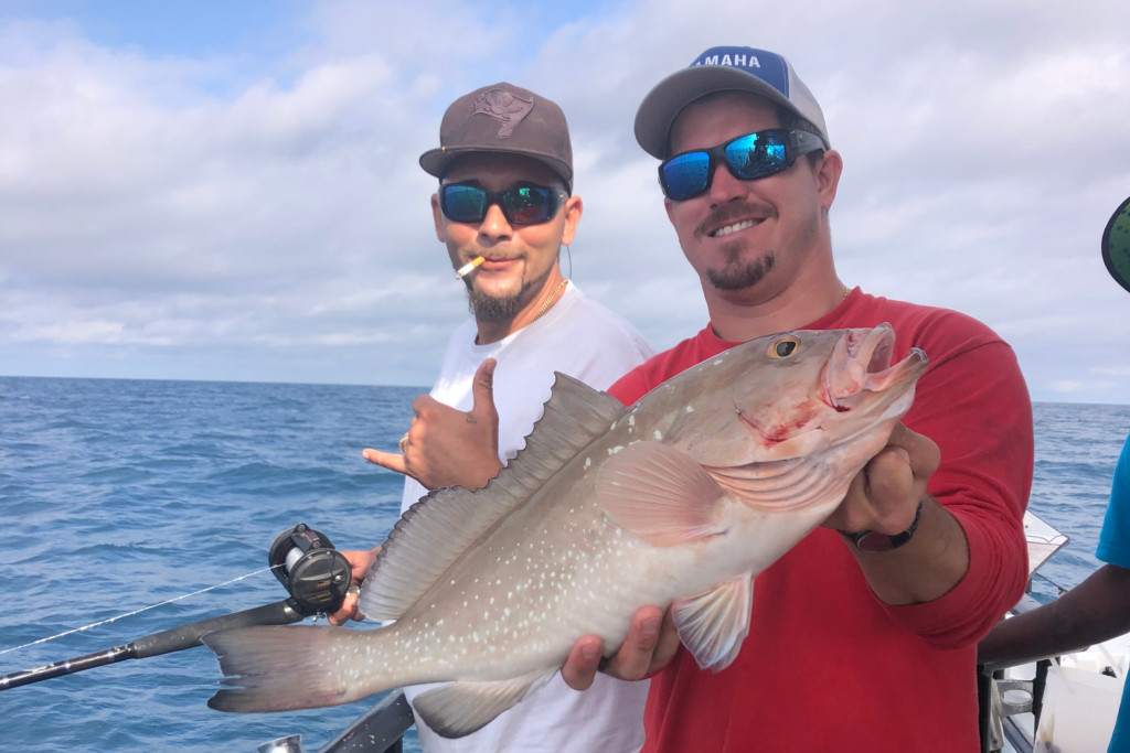 NEAR SHORE & OFFSHORE - red grouper (3)