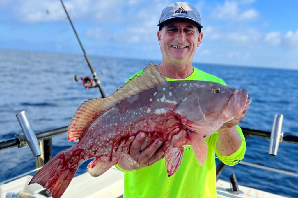 NEAR SHORE & OFFSHORE - red grouper (5)
