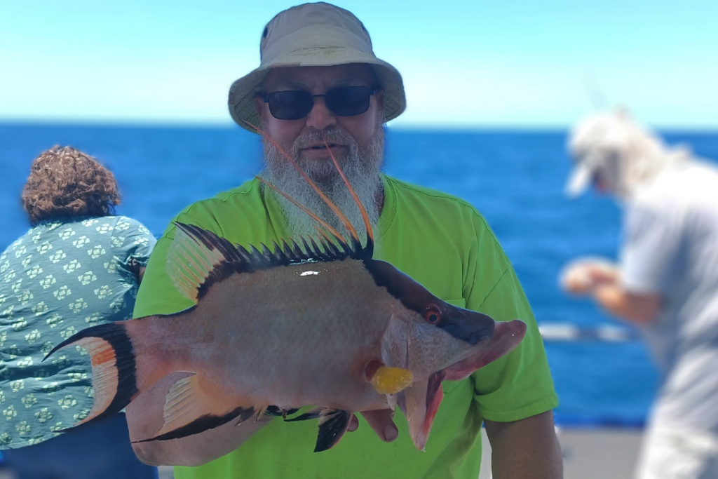 NEAR SHORE - hogfish (3)