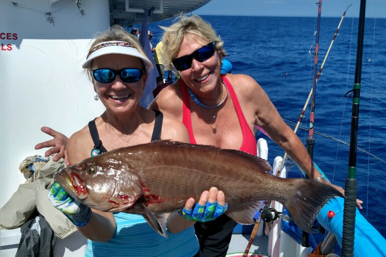 OFFSHORE - scamp grouper (1)