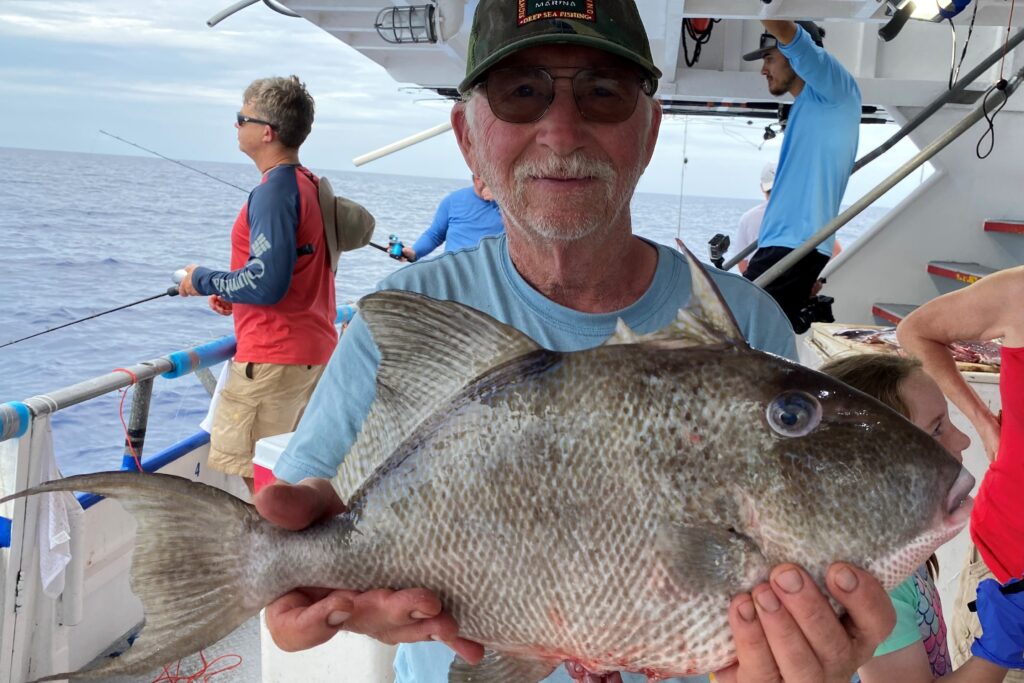 OFFSHORE - triggerfish (3)