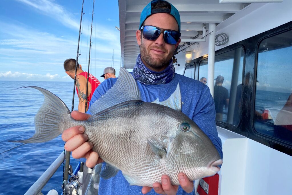 OFFSHORE - triggerfish (4)