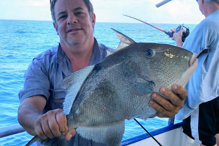 OFFSHORE - triggerfish