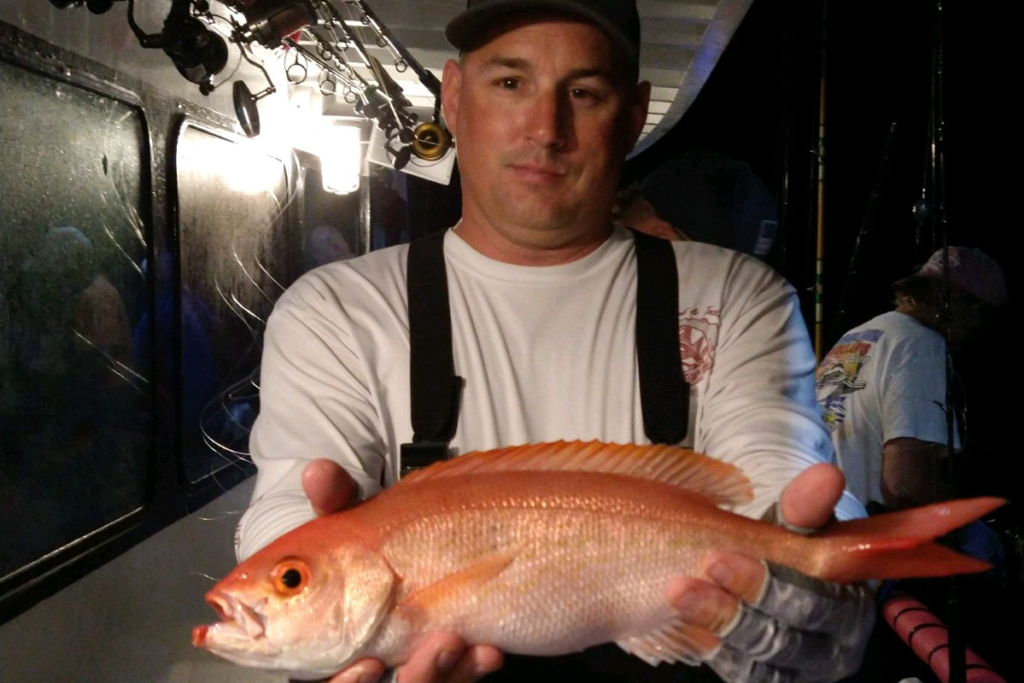 OFFSHORE - vermillion snapper (1)