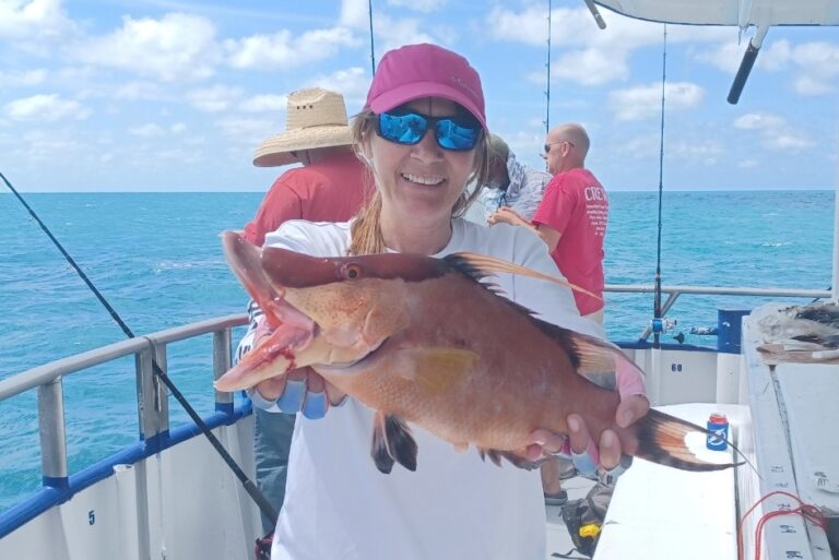 Hogfish (3)